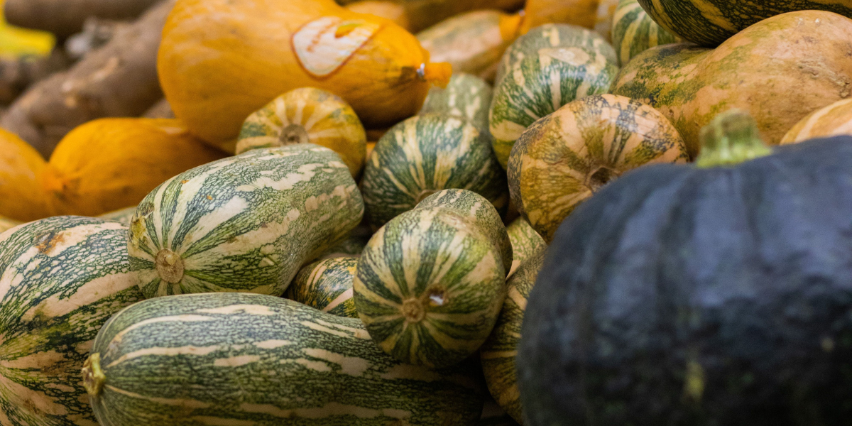 Selection of Squash